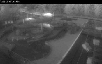 Snímek    13.5.2025 v 04:30