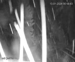 Vstup do skal, Pískovna