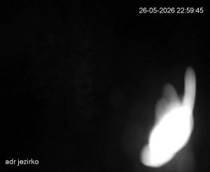 Adršpach - Vstup do skal, Pískovna - 27.5.2026 v 00:00