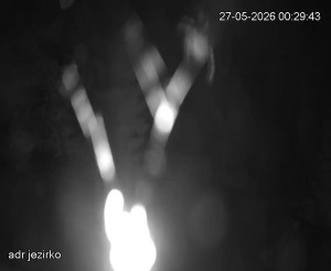 Adršpach - Vstup do skal, Pískovna - 27.5.2026 v 01:30