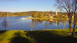 Frymburk
