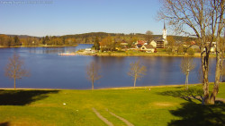 Frymburk