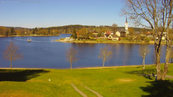 Frymburk
