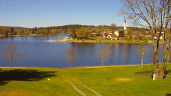 Frymburk