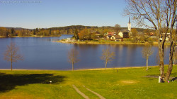Frymburk