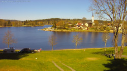 Frymburk