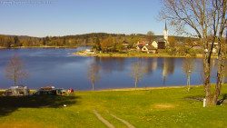 Frymburk
