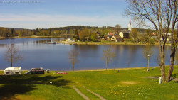 Frymburk