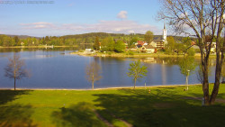 Frymburk
