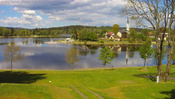 Frymburk