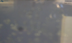 Lysá hora, pohled na východ