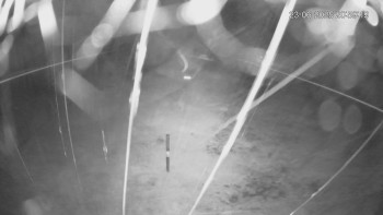 Snímek    23.6.2025 v 22:00