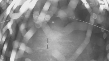 Snímek    3.7.2025 v 03:00