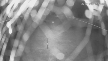 Snímek    4.7.2025 v 22:00
