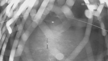 Snímek    6.7.2025 v 03:00