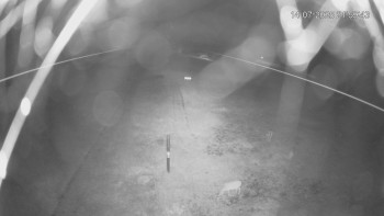 Snímek    14.7.2025 v 23:00