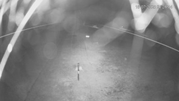 Snímek    16.7.2025 v 22:30