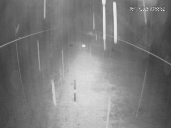 Snímek 16.11.2025 v 04:00