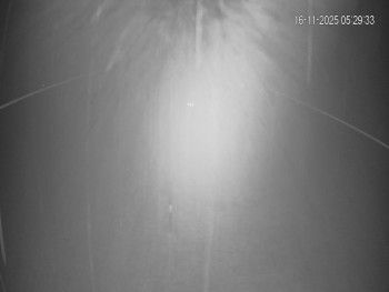 Snímek 16.11.2025 v 05:30