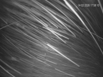 Rekreační středisko Trnava u...