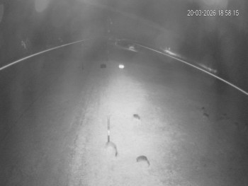 Rekreační středisko Trnava u...