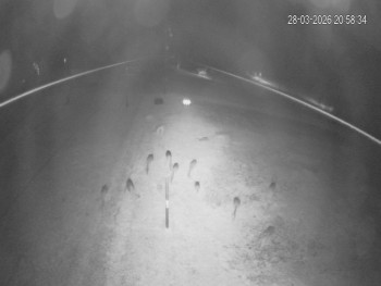 Rekreační středisko Trnava u...