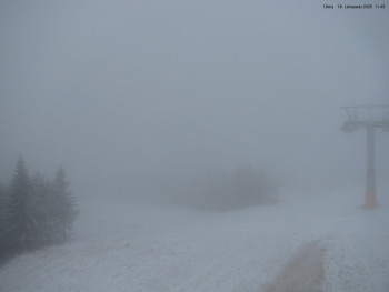 Snímek    18.11.2025 v 11:45