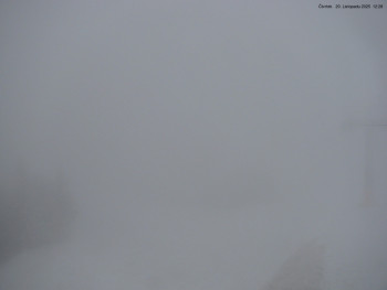 Snímek    20.11.2025 v 12:30