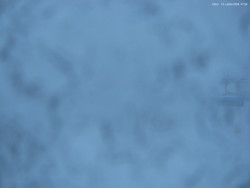 Svatý Petr, Pláně