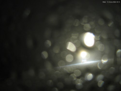 Svatý Petr, Pláně