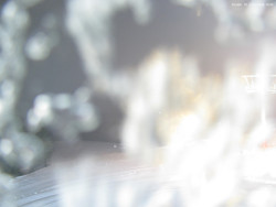 Svatý Petr, Pláně