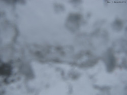 Svatý Petr, Pláně