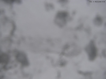 Město Špindlerův Mlýn