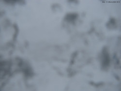 Svatý Petr, Pláně