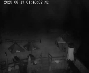 Skiareál Horní Podluží - Nástupní stanice vleků Horní Podluží - 17.8.2025 v 02:45
