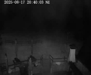 Skiareál Horní Podluží - Nástupní stanice vleků Horní Podluží - 17.8.2025 v 21:45