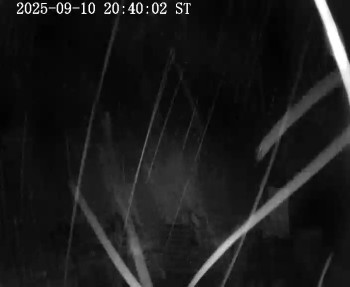 Snímek    10.9.2025 v 21:45