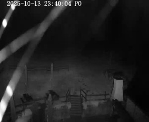 Skiareál Horní Podluží - Nástupní stanice vleků Horní Podluží - 14.10.2025 v 00:45