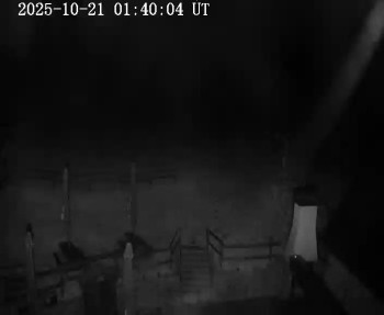 Snímek    21.10.2025 v 02:45
