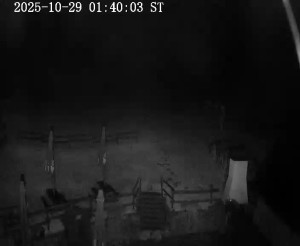 Skiareál Horní Podluží - Nástupní stanice vleků Horní Podluží - 29.10.2025 v 01:45 Skiareál Horní Podluží - Nástupní stanice vleků Horní Podluží - 29.10.2025 v 01:45