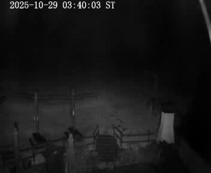 Skiareál Horní Podluží - Nástupní stanice vleků Horní Podluží - 29.10.2025 v 03:45 Skiareál Horní Podluží - Nástupní stanice vleků Horní Podluží - 29.10.2025 v 03:45