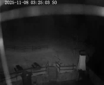 Snímek 8.11.2025 v 03:30