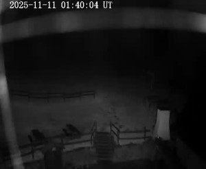 Skiareál Horní Podluží - Nástupní stanice vleků Horní Podluží - 11.11.2025 v 01:45 Skiareál Horní Podluží - Nástupní stanice vleků Horní Podluží - 11.11.2025 v 01:45