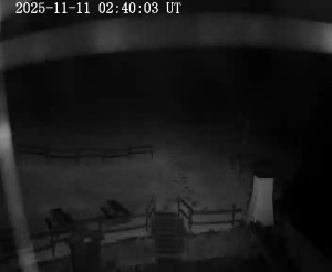 Skiareál Horní Podluží - Nástupní stanice vleků Horní Podluží - 11.11.2025 v 02:45 Skiareál Horní Podluží - Nástupní stanice vleků Horní Podluží - 11.11.2025 v 02:45