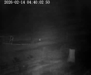 Skiareál Horní Podluží - Nástupní stanice vleků Horní Podluží - 14.2.2026 v 04:45