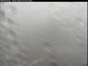 Špičák - Pancíř - 4.4.2026 v 07:45