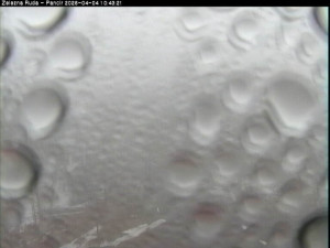 Špičák - Pancíř - 4.4.2026 v 10:45