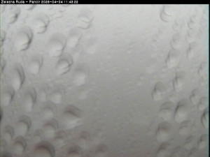 Špičák - Pancíř - 4.4.2026 v 11:45