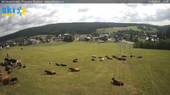 Snímek    15.7.2025 v 10:15