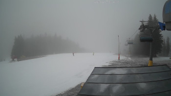 Deštné v Orlických horách